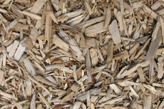 biomass boilers Bestwood